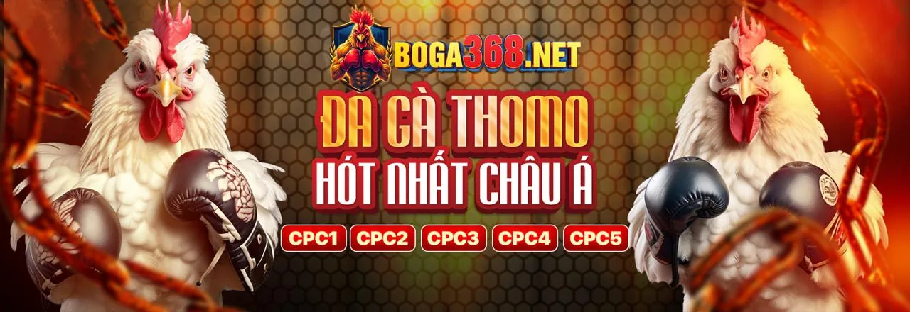 Hình ảnh chính ff168 đăng ký